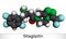 Sitagliptin anti-diabetic medication drug molecule. It is trifluorobenzene  and triazolopyrazine with hypoglycemic activity.