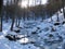 Site of the lake of allos , france