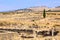 Site overview of the ruins of Volubilis, ancient Roman city in Morocco