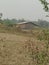 A site of a rural place of Assam