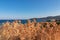 Sithonia - Golden grass with scenic view of beautiful bay lagoon near Vourvourou, Greek peninsula Sithonia, Greece