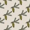 Sitka spruce branch seamless pattern