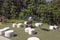 Sitting area with panda sculpture and blue pinwheels