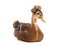 Sitting beautiful brown duck isolated