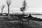 Sitting benches near a lake shore