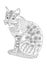 Sitting bengal cat, coloring page
