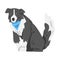 Sitting Border Collie Dog, Side View of Smart Shepherd Pet Animal with Black White Coat in Blue Neckerchief Cartoon