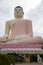 Sitting Buddha statue, Kande Viharaya Temple in Sri Lanka