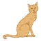 Sitting Cat. Vector Cartoon Feline Illustration