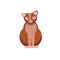 Sitting cute cat. Brown kitty flat cartoon vector illustraton isolated on white background