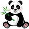 Sitting cute panda with bamboo on white