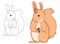 Sitting cute squirrel with nut drawn by hand on white background, Vector illustration good for coloring books for children