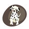 Sitting Dalmatian animal cartoon character vector illustration