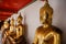 Sitting Golden Buddhas in Wat Pho temple in Bangkok