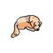 Sitting golden retriever adult color line icon. Pictogram for web page