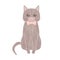 Sitting gray pet cat with textured fur wearing bow tie