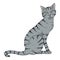 Sitting Gray Striped Cat