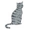 Sitting Gray Striped Cat