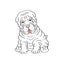 Sitting hand drawn shar pei