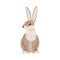 Sitting Hare or Jackrabbit as Swift Animal with Long Ears and Grayish Brown Coat Vector Illustration