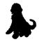 Sitting Labradoodle Dog Canis Lupus On a Side View Silhouette Found In Map Of Australia. Good To Use For Element Print Book