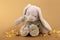 Sitting light purple rabbit toy, gold christmas balls and pieces of gold paper firecracker on golden background. New year day