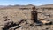 Sitting Lone Man of Kaokoveld Namibia