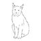 Sitting lynx design - wild bobcat black and white vector outline, lynx , vector sketch illustration