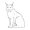 Sitting lynx design - wild bobcat black and white vector outline, lynx , vector sketch illustration