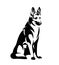 Sitting malinois shepherd dog black and white vector outline