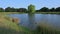 Sitting by the ponds at Bushy Park