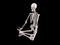 Sitting skeleton