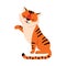 Sitting Striped Tiger with Orange Fur Licking Vector Illustration