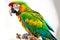 Sitting on tree branch parrot on white with green blue wings and powerful beak