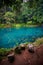 Situ Cipanten of Majalengka. Beautiful blue lakes in the forest with green trees. Spot tourism of west java.