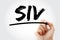 SIV - Structured Investment Vehicle acronym with marker, business concept background