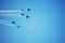 Six Blue Angels Airplanes Perform as a Team