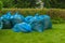 Six blue garbage bags stand neatly on the green grass near the bushes in the city garden