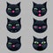 Six cats faces emotion icon pack