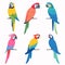 Six colorful parrots perched, vibrant tropical birds, varied plumage colors. Cartoon macaws