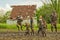 Six Country kids jumping in mud