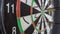 Six Dart Arrows Hitting In Dartboard