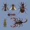 six insects animals