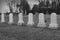 Six Matching Tombstones in Cemetary