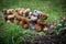 Six miniature teddy bears weeding in the garden