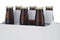 Six pack of brown beer bottles