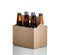 Six pack of glass bottled beer in generic brown cardboard carrie