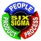 Six Sigma Principles - Circle Diagram