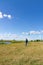 A six-year-old preschooler boy in a blue jacket launches a toy plane in a field against a blue sky with clouds on a summer day