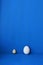 Size comparison between a quail egg and a chicken egg isolated on blue background